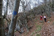 14 Nel bosco di faggi e  carpini neri